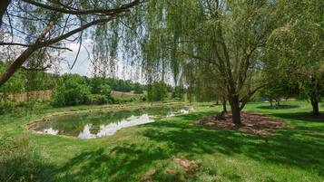 Ein ruhiger Park mit Teich, üppigem Grün und Bäumen.