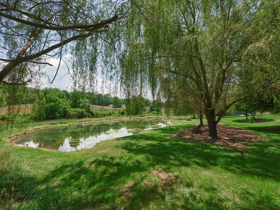 Ein ruhiger Park mit Teich, üppigem Grün und Bäumen.