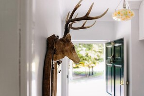 Une tête de cerf fixée au mur dans un couloir, avec une porte et un luminaire suspendu.