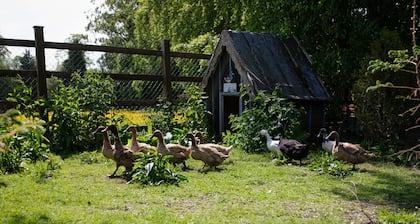 Brookhall Cottages