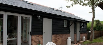 Bull Farm Studios