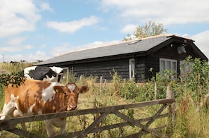 A rustic wooden cabin with a sloped roof, surrounded by tall grass and a wooden fence. - Bull Farm Studios (Winchester)