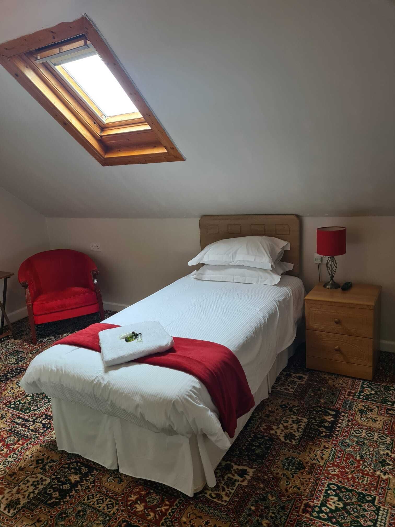 A bedroom with a skylight, a red chair, a bedside table with a lamp, and a patterned carpet.