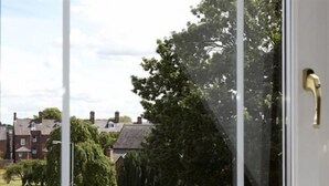 A view through a window of a building with a large tree in the foreground and houses in the background.