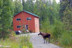 Family Room, 1 Bedroom, Refrigerator, Annex Building | Blackout drapes, iron/ironing board, free WiFi, bed sheets - Grace and Bill's Freedom Hills (Talkeetna)