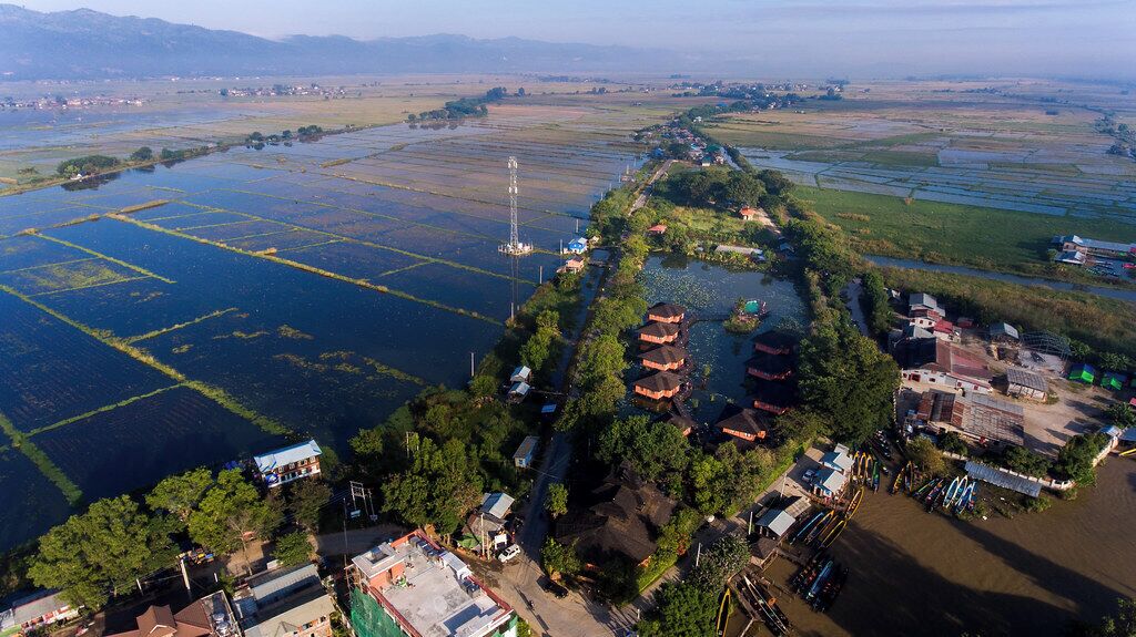 Vista aérea de una zona rural con arrozales, algunas casas y un pequeño grupo de edificios con tejados rojos.
