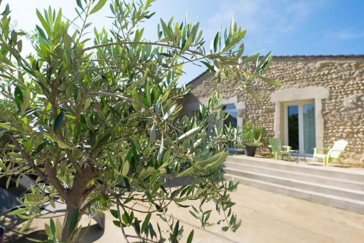 An olive tree in front of a stone building with a door and steps leading to a patio area.