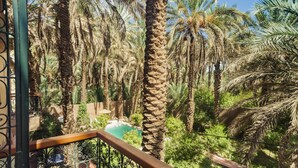 حمّام سباحة خارجي