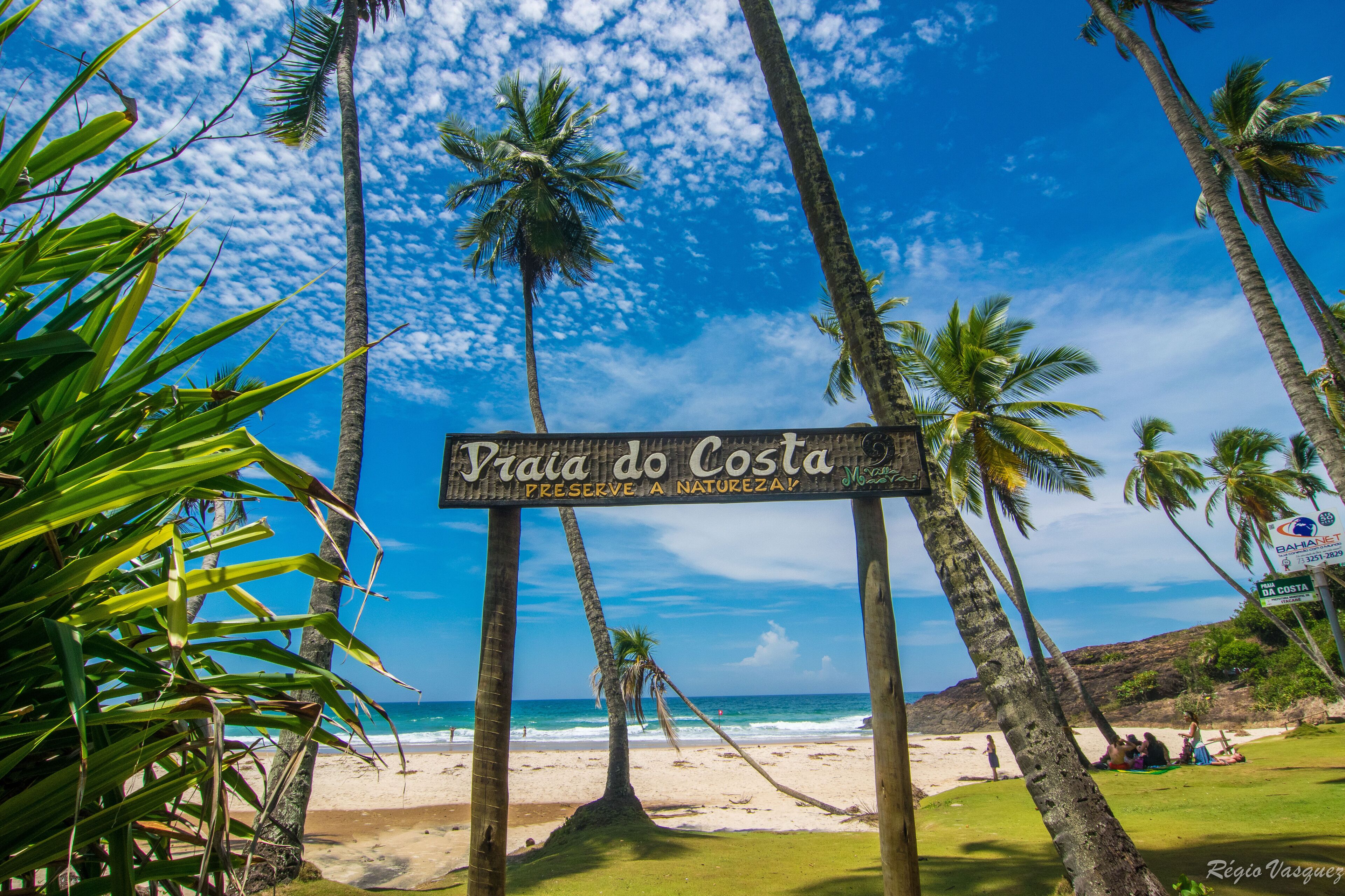 A beach sign with palm trees and ocean view.
