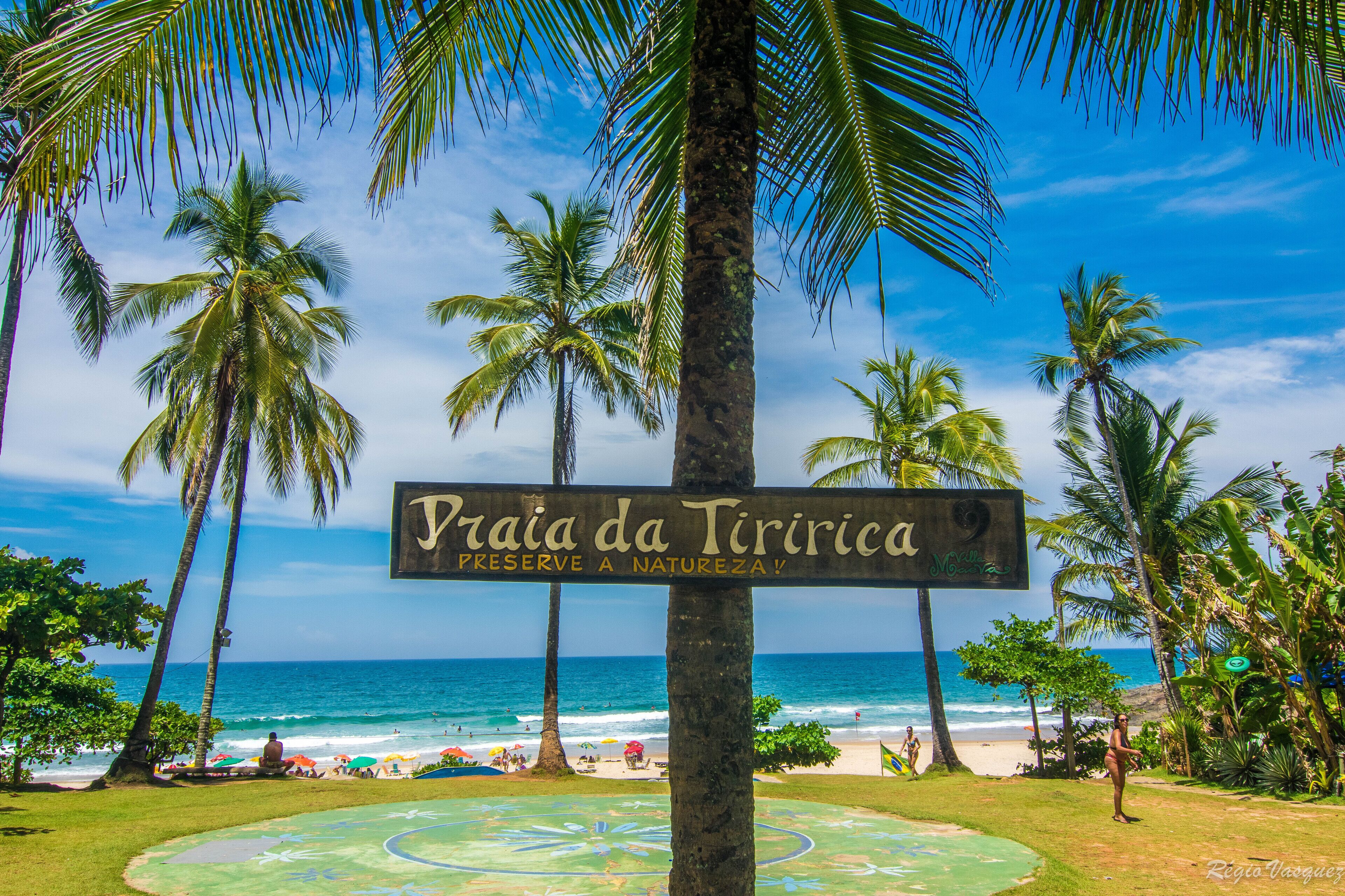 Un letrero en la playa con palmeras y vista al océano.