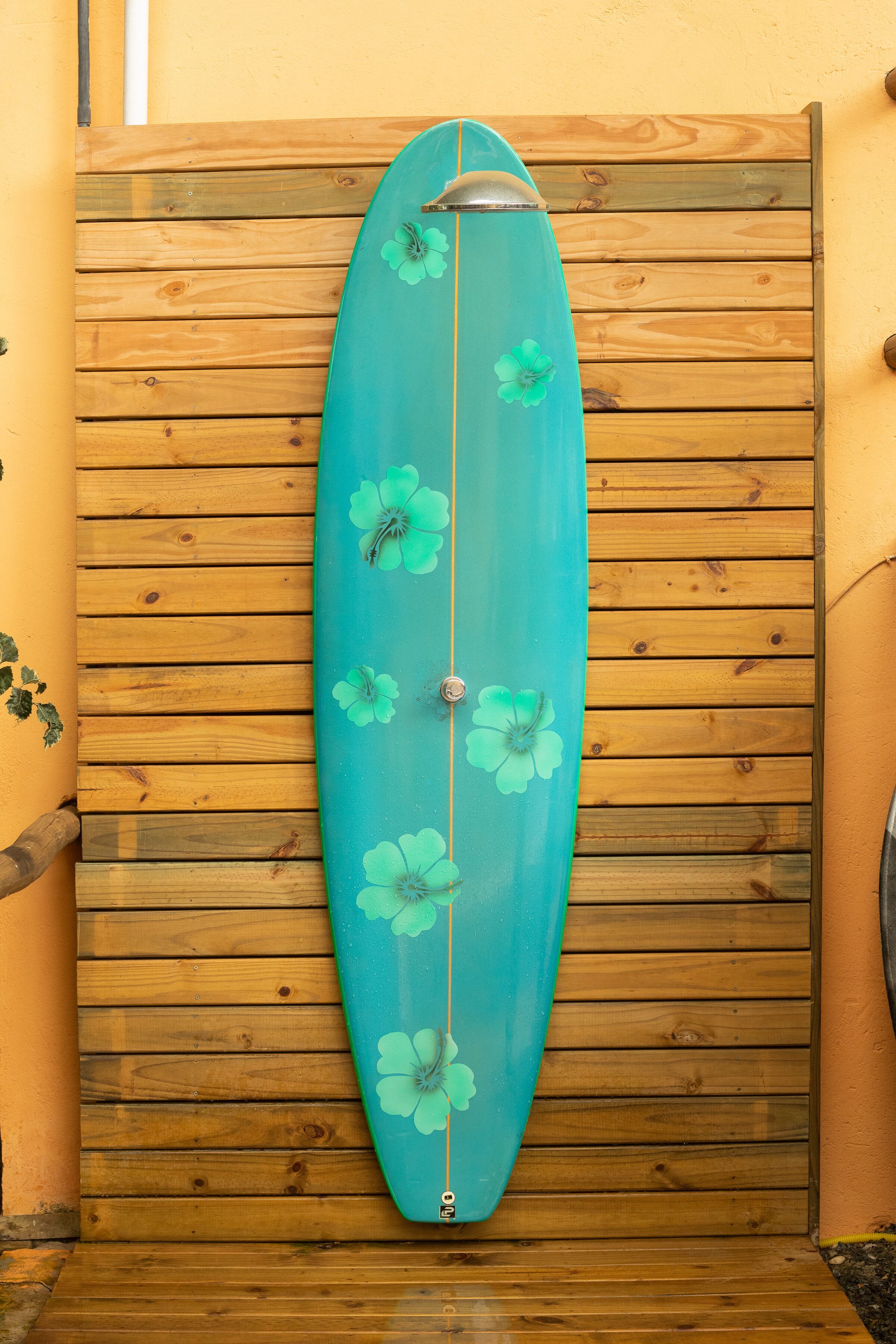 A surfboard leaning against a wooden wall with horizontal planks.