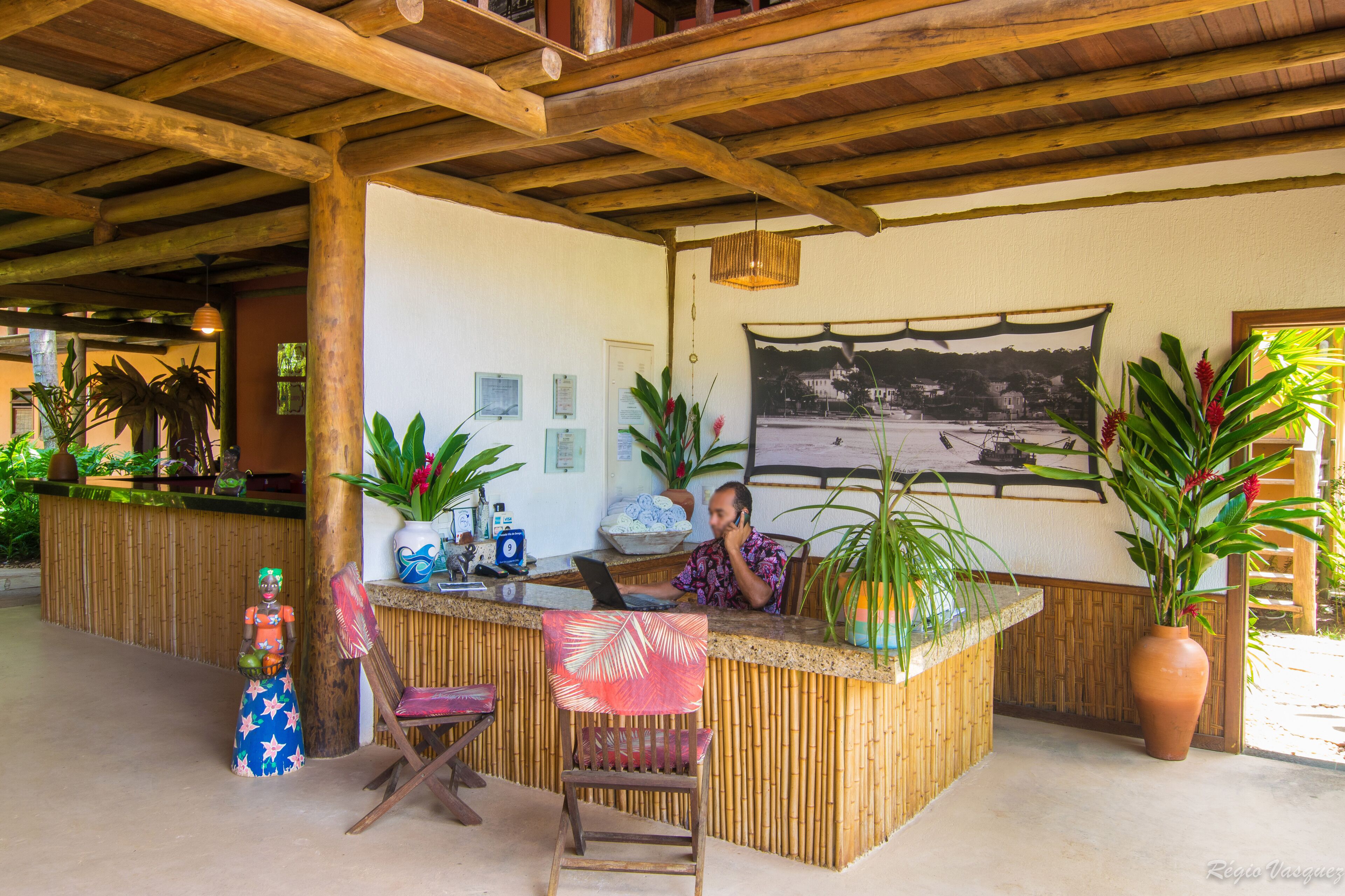 A reception area with a wooden ceiling, a reception desk, a chair, and a large potted plant.