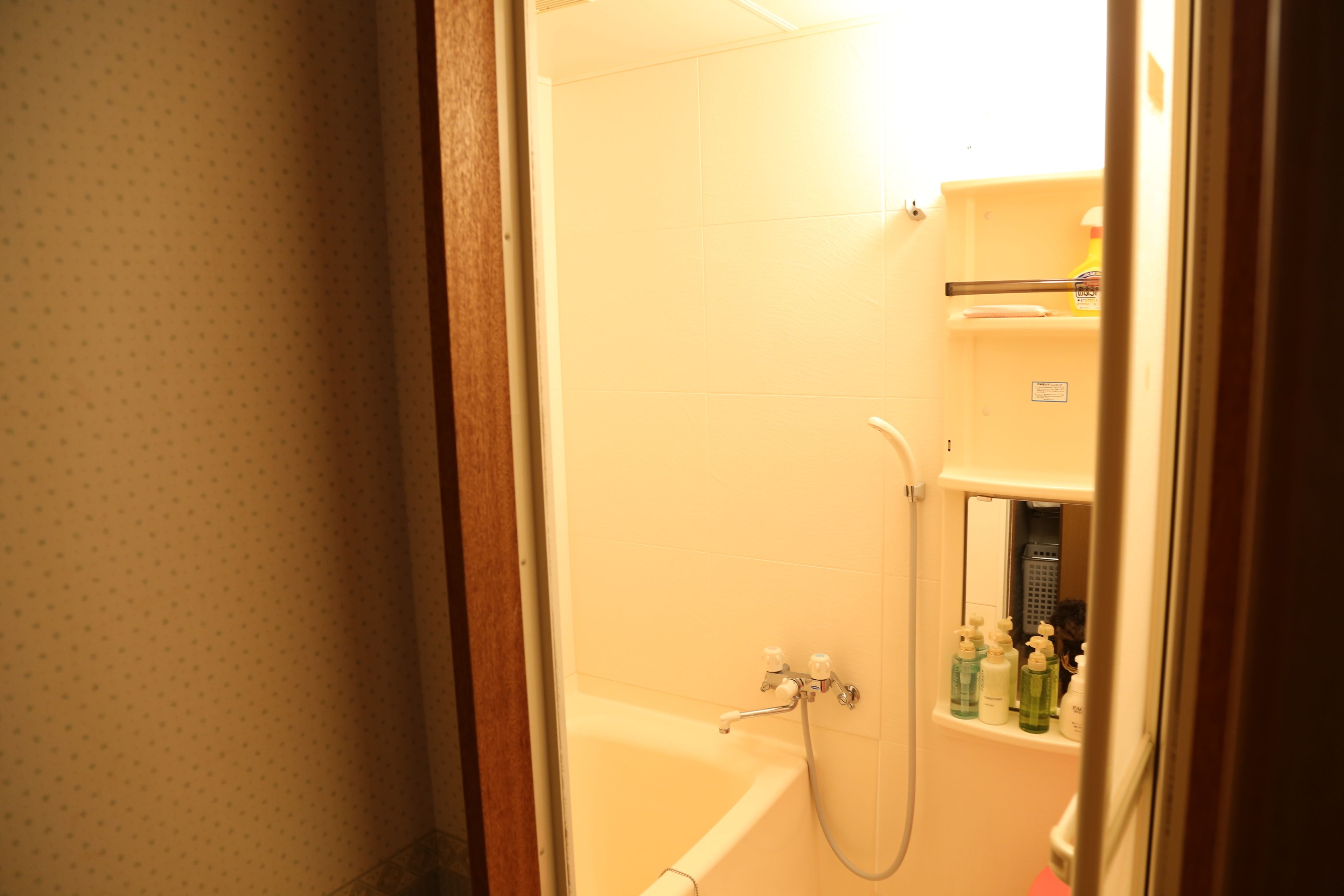 combined shower/bathtub, free toiletries, hair dryer, slippers