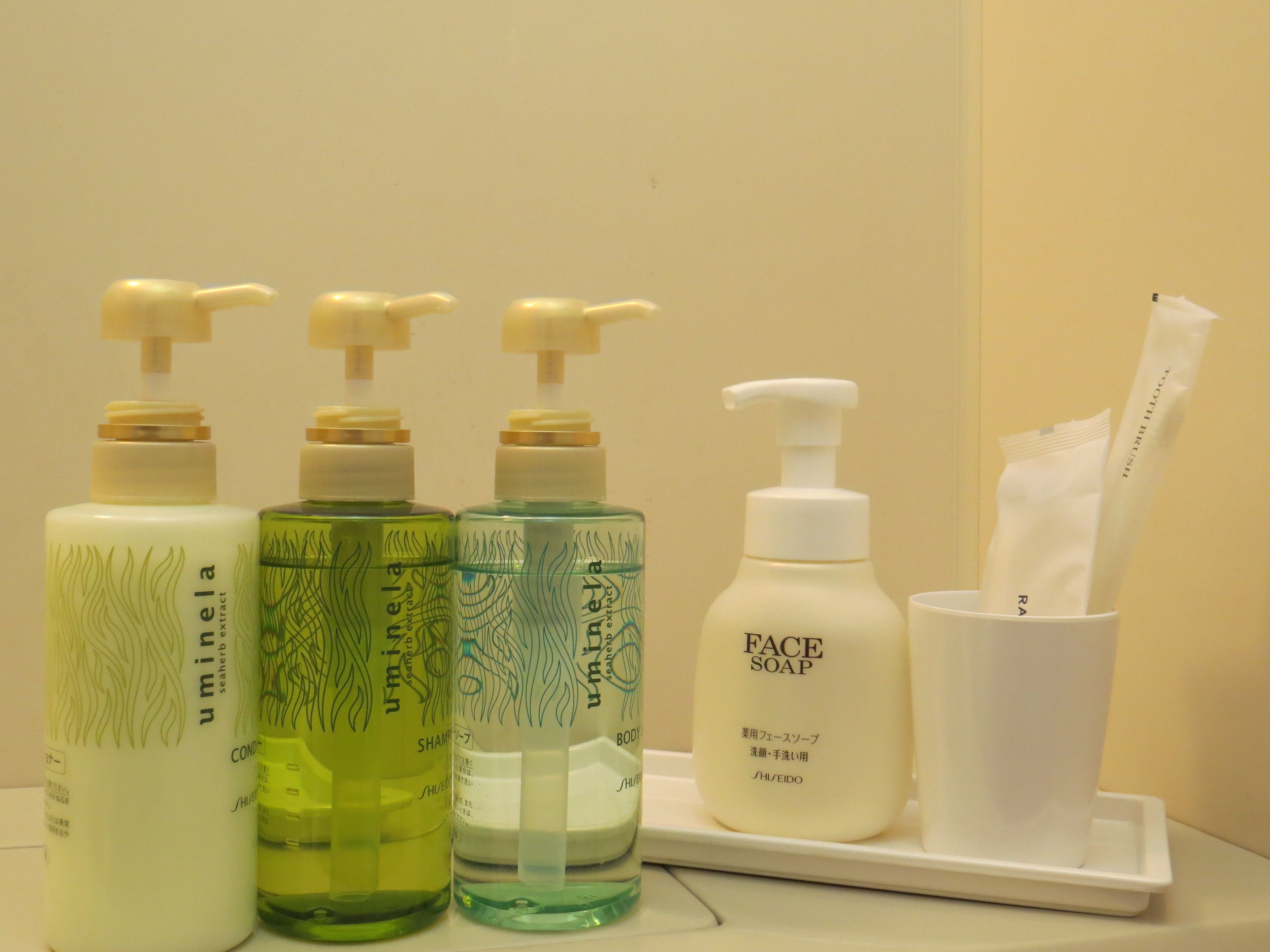 combined shower/bathtub, free toiletries, hair dryer, slippers