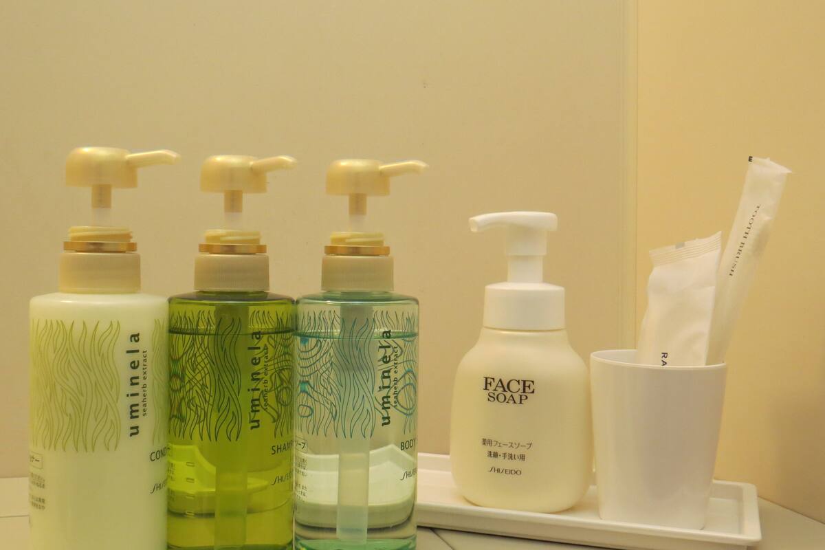 combined shower/bathtub, free toiletries, hair dryer, slippers