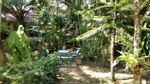 Área da propriedade