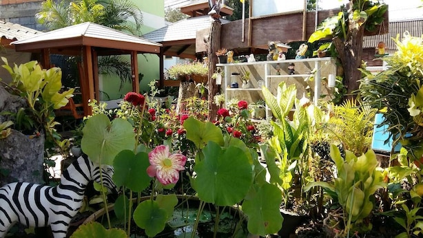 Um jardim com lago, diversas plantas e uma estrutura de madeira.
