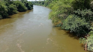 Um rio serpenteando por uma área densamente coberta de vegetação.