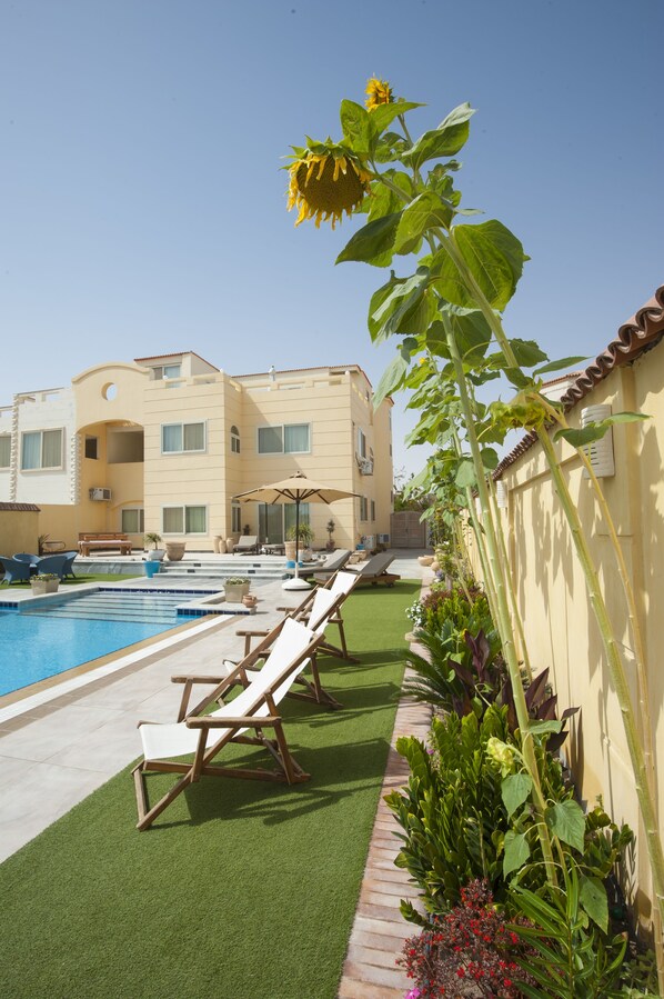 Outdoor pool, pool umbrellas, pool loungers