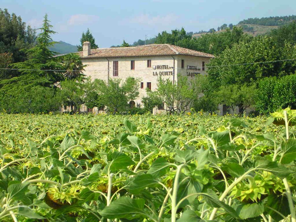 Hotel La Quiete image