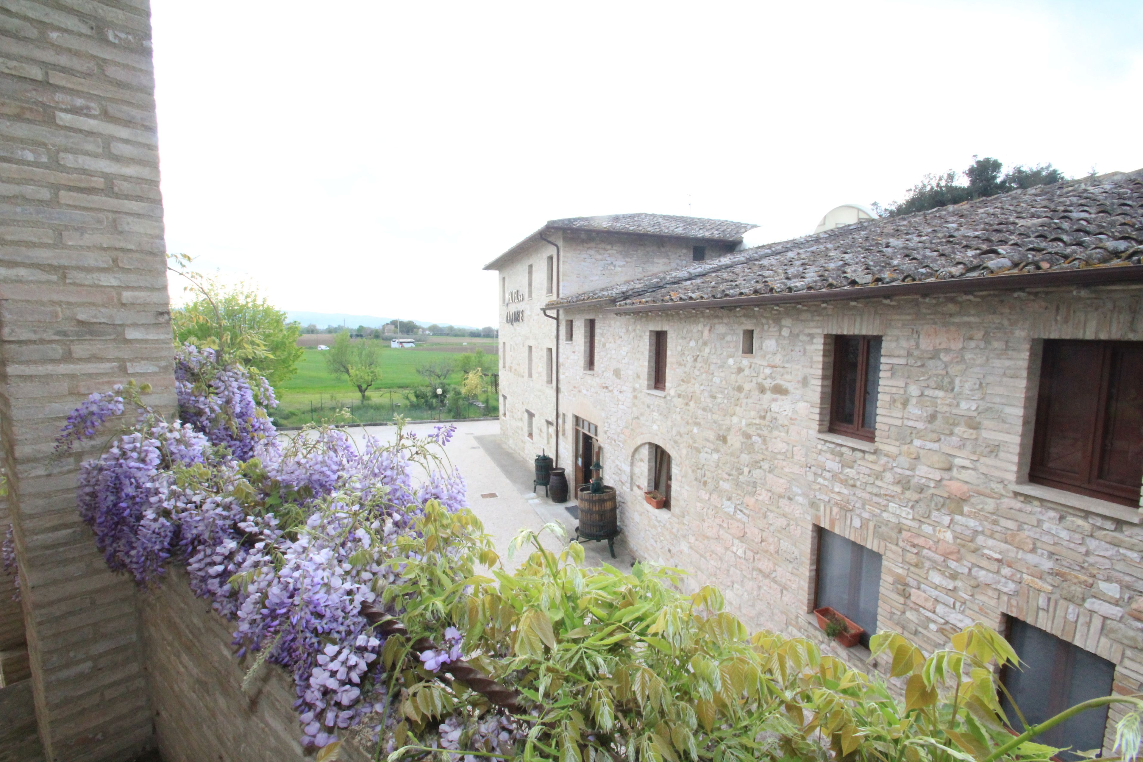 Foto - Hotel La Quiete