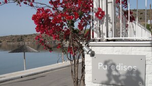Schild für 'Paradisos Bed & Breakfast' mit Blick auf ruhiges Gewässer und ein weißes Gebäude im Hintergrund.