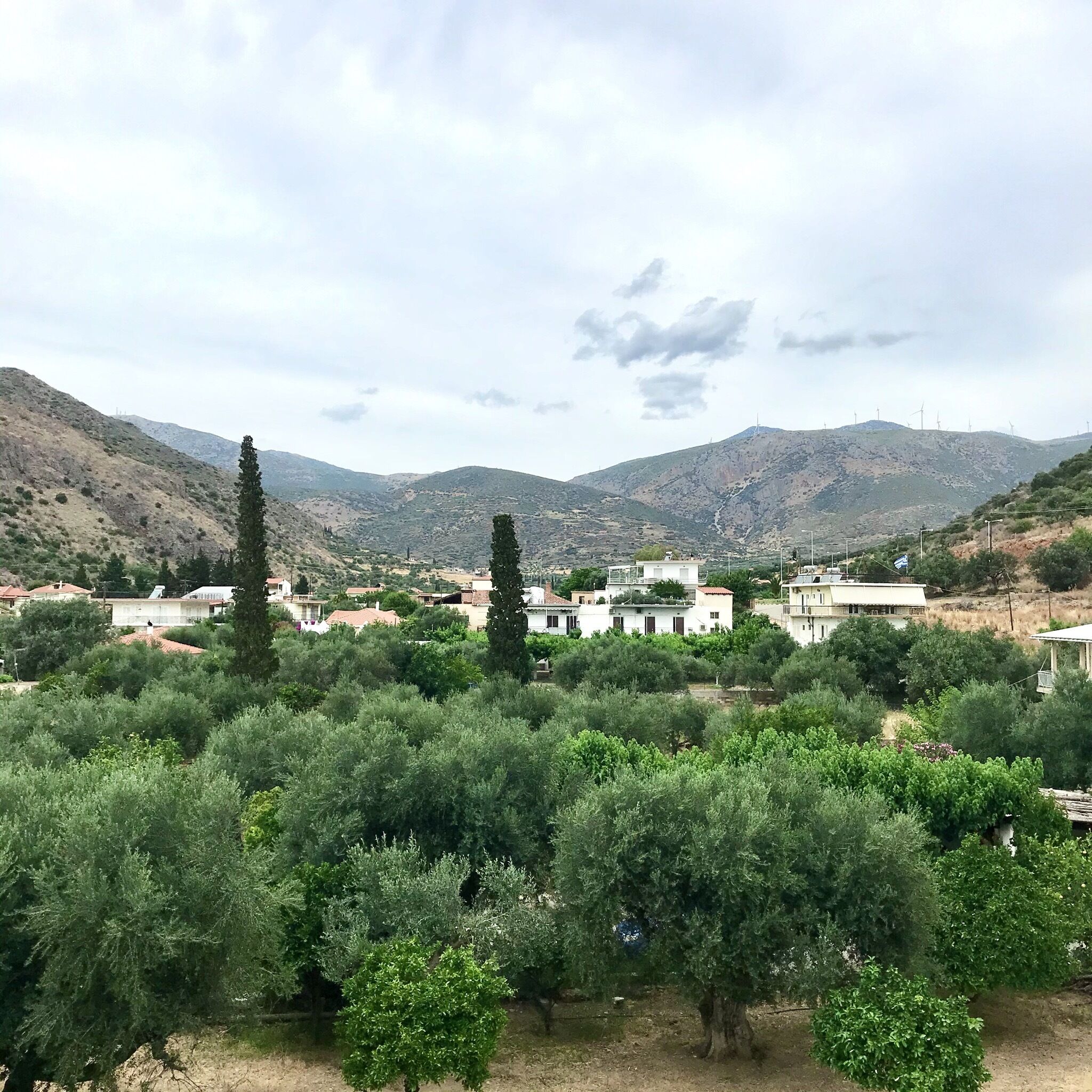 land view from property