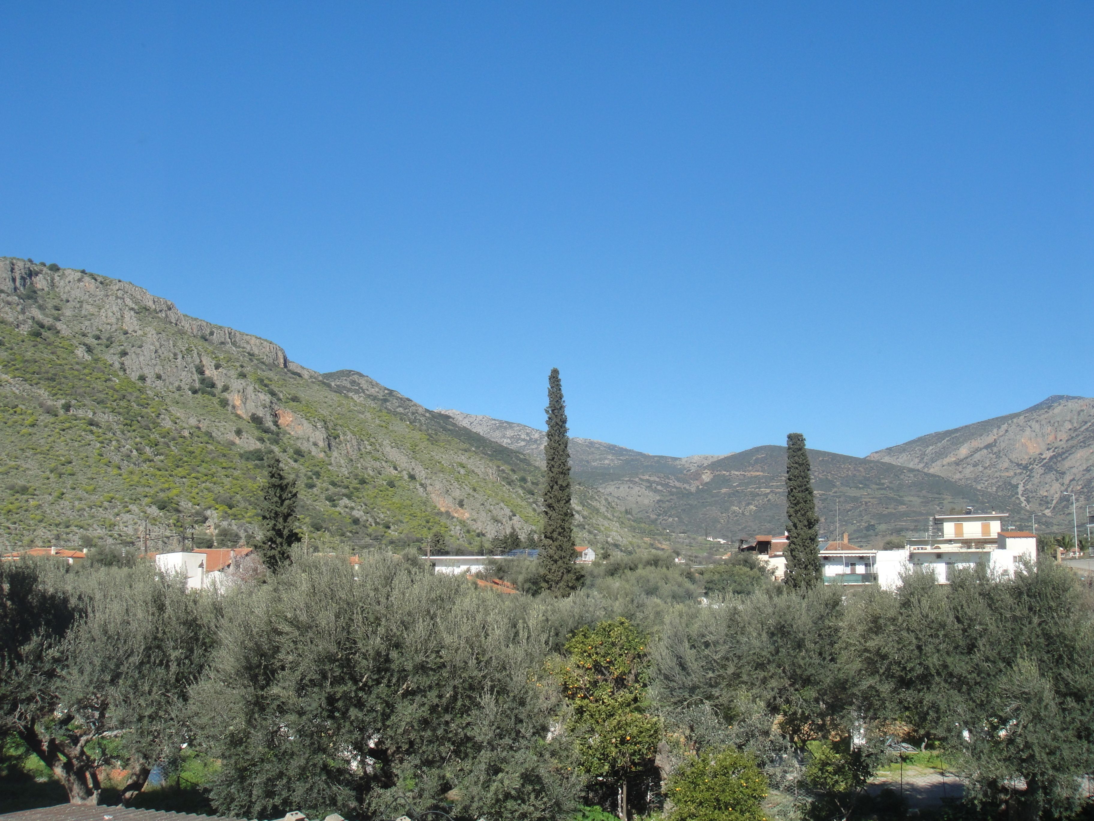 classic double room | mountain view