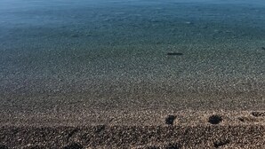 Ein freier Blick auf einen Kiesstrand mit ruhigem Wasser, entfernte Berge und einen klaren Himmel.
