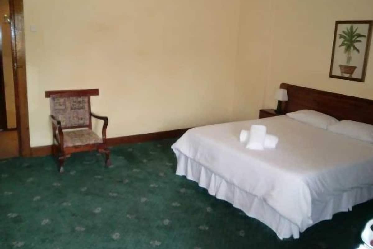 A hotel room with a bed, a chair, a nightstand, and a wall-mounted plant.