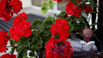 Un jardín con flores rojas y una pequeña figurita leyendo un libro.
