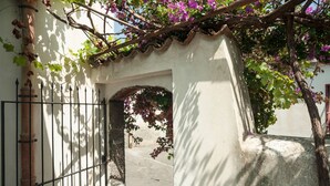 Une ruelle étroite, avec un portail en fer forgé, une arche ornée de carreaux de céramique et un mur couvert de plantes grimpantes.