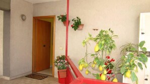 A room with a wooden door, a red railing, and potted plants including a lemon tree. - Come In Sicily - Beachfront Sant'Alessio (Sant'Alessio Siculo)