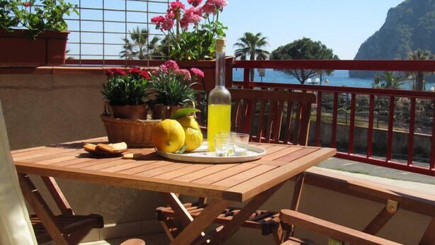 A wooden table with a tray of fruit and a bottle of yellow liquid, surrounded by potted plants and flowers, on a balcony with a view of the sea and a mountain. - Come In Sicily - Beachfront Sant'Alessio (Sant'Alessio Siculo)
