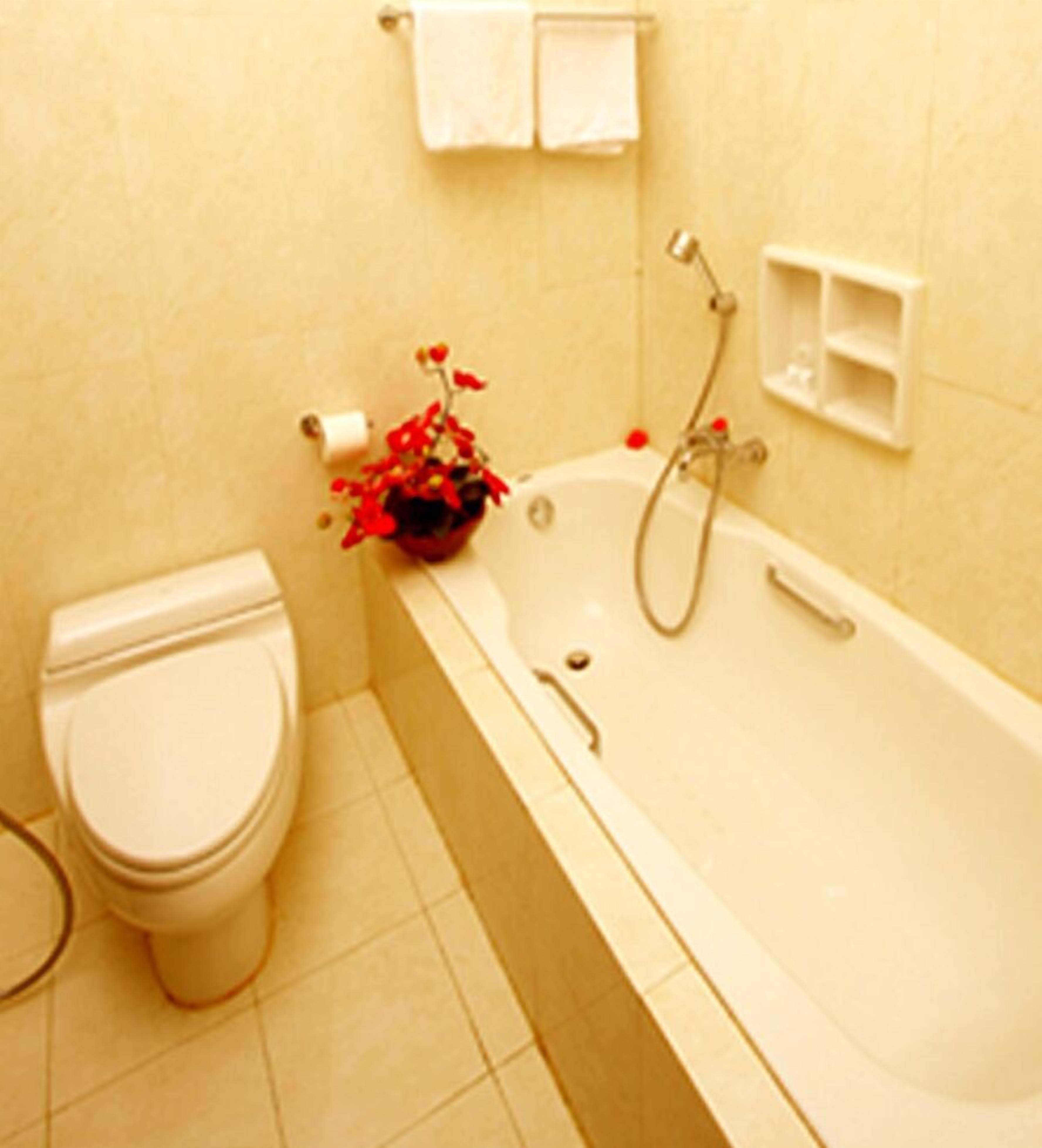 Un baño con inodoro, bañera y una planta pequeña.