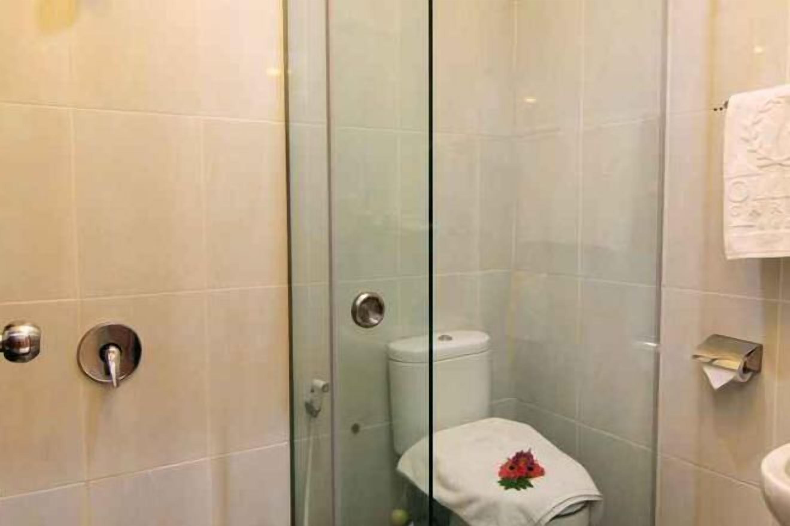 Shower, free toiletries, hair dryer, towels