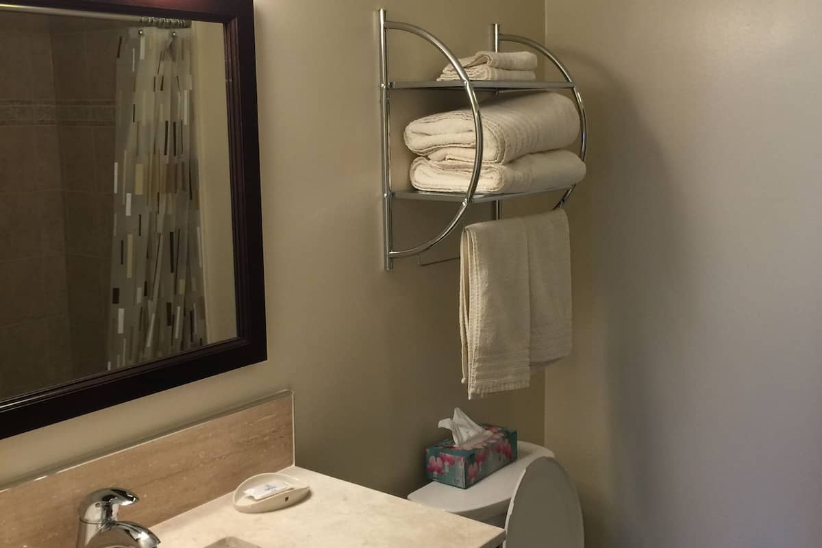 A bathroom with a sink, mirror, towel rack, toilet, and a tissue box.