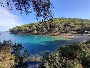 Unclassified image, 4 of 129, button