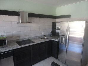 Full-size fridge, microwave, stovetop, dishwasher