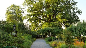 A gravel pathway surrounded by lush greenery and a variety of plants.
