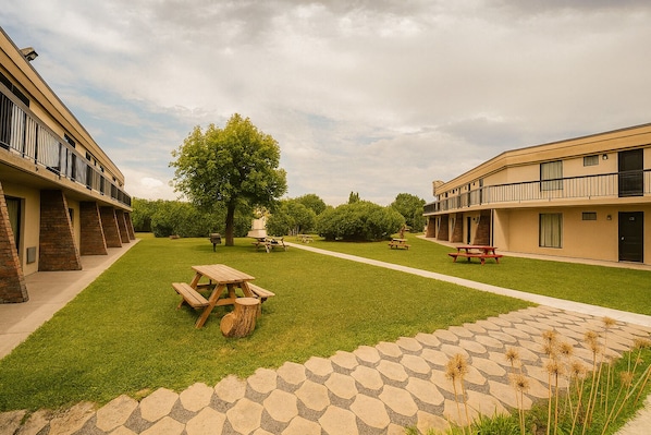 A courtyard with picnic tables, a central tree, and a building with balconies.