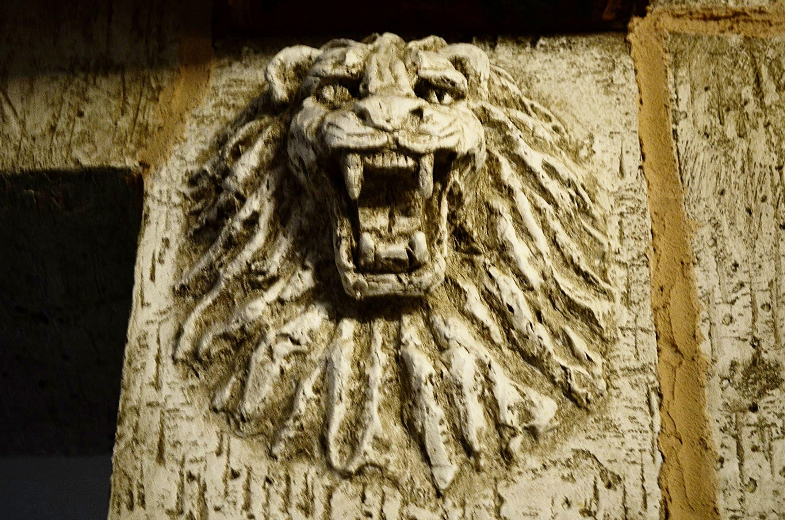 Foto - Three Crowns Residents