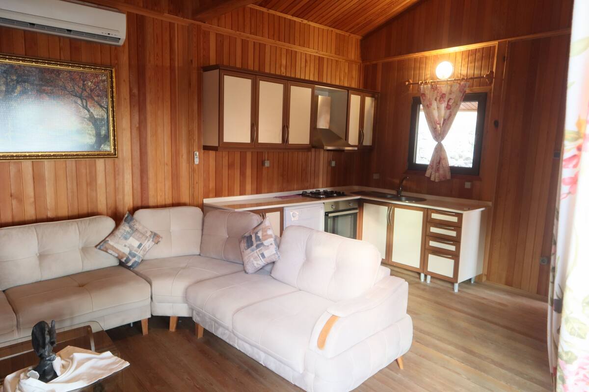 exclusive house | living area | lcd tv, table football