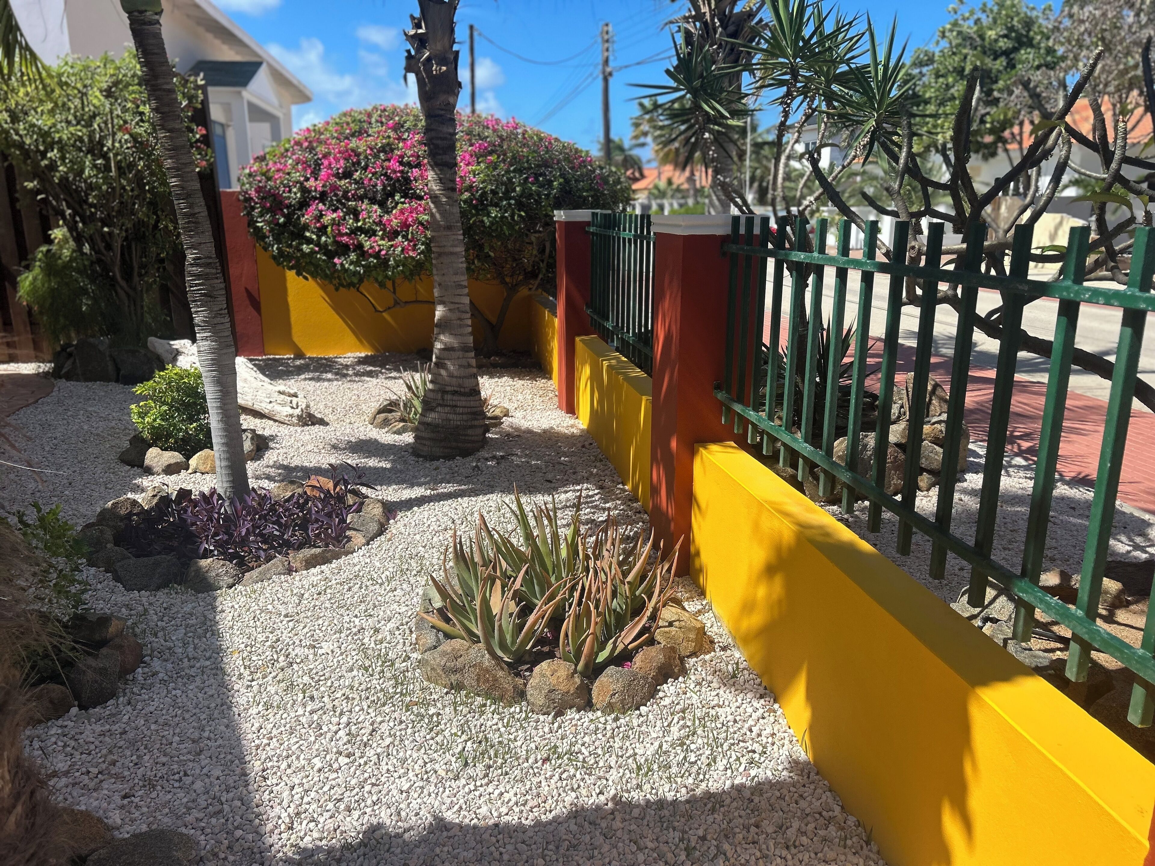 A garden with a gravel path, palm trees, and various plants.