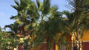 Zona ajardinada con palmeras, un camino de ladrillo y un edificio de fachada roja y amarilla.