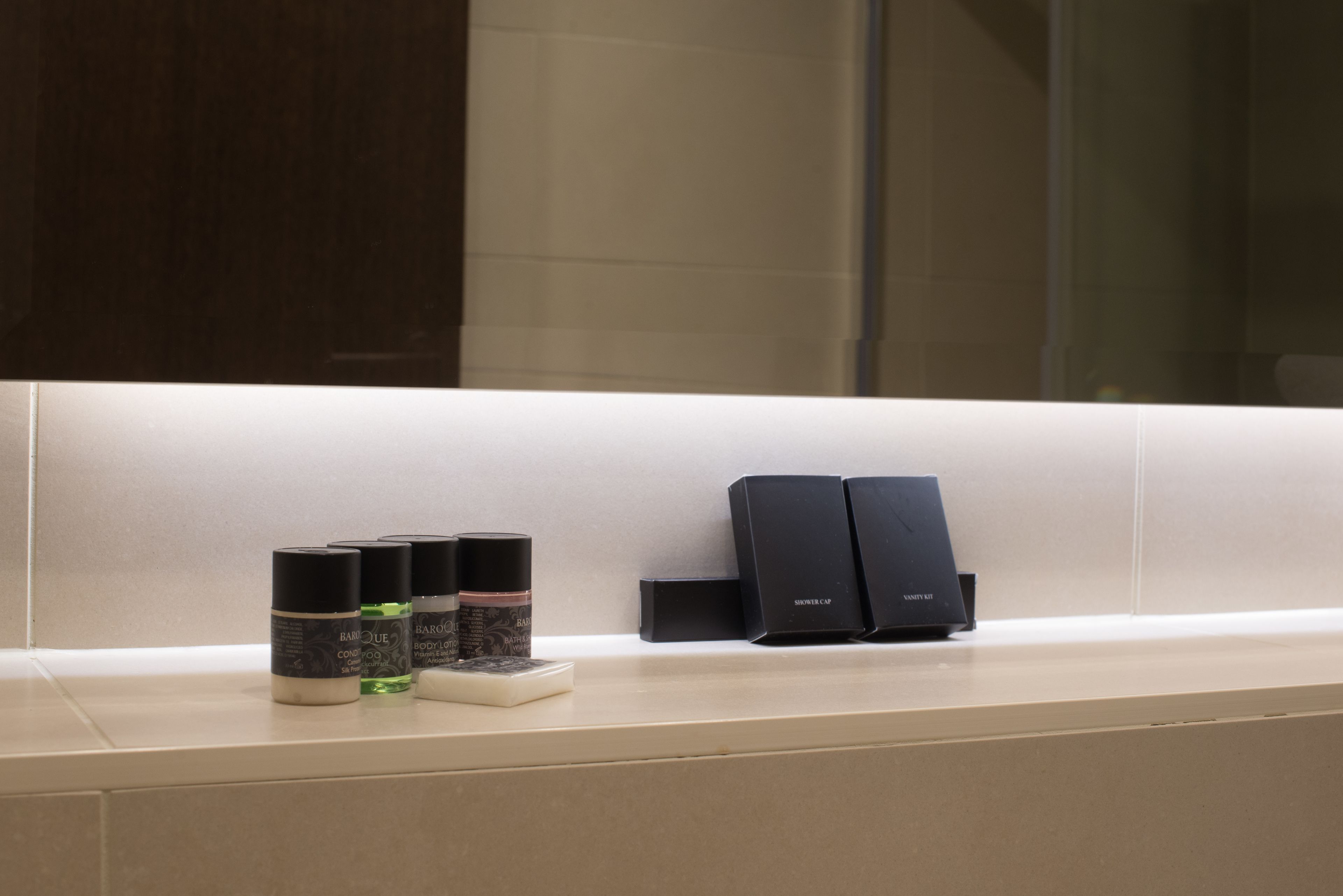 combined shower/bathtub, free toiletries, hair dryer, towels