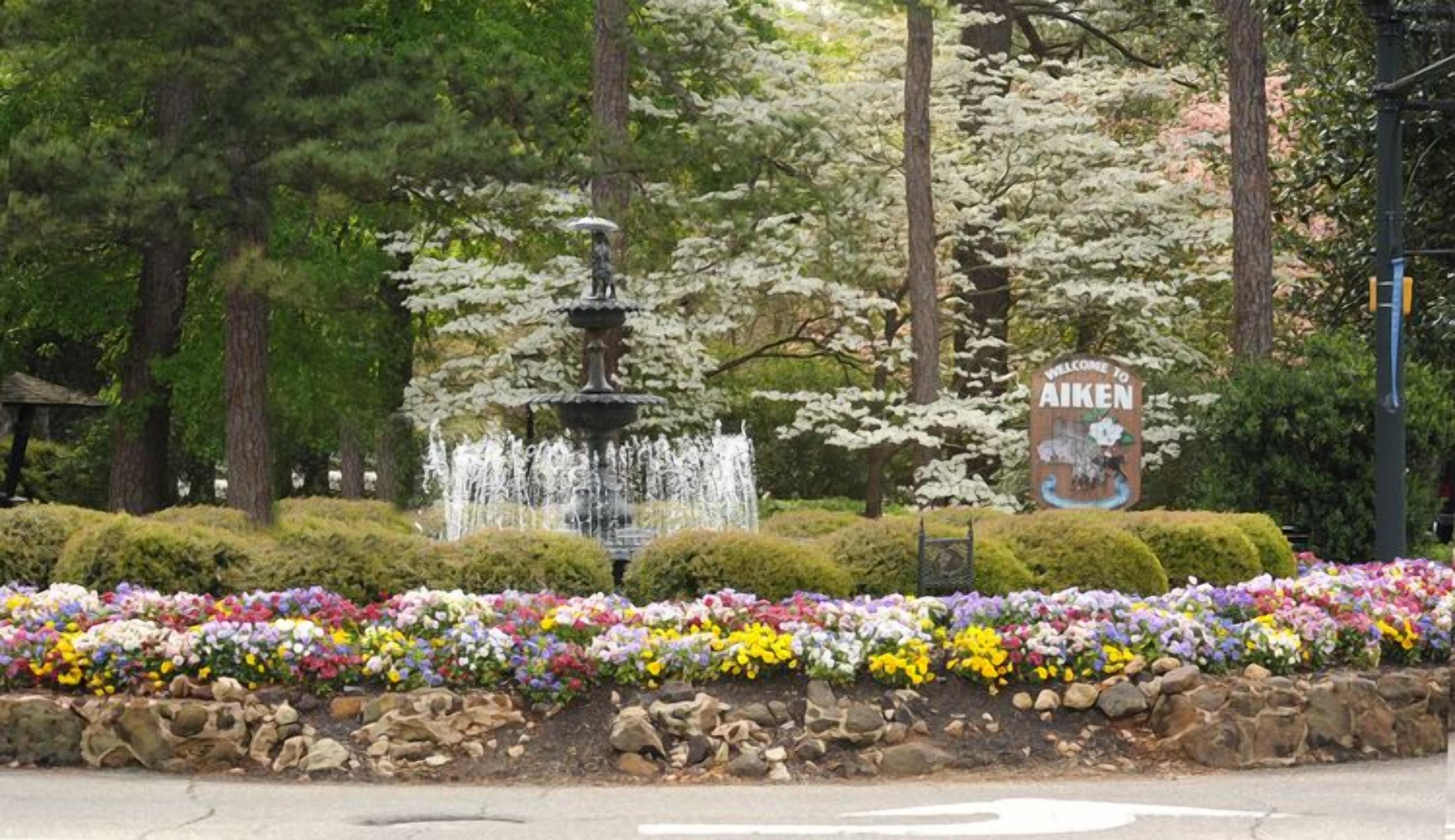 land view from property