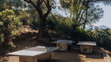 Outdoor ping pong tables with the brand name "Cornilleau" in a natural setting with trees and a mountain in the background.