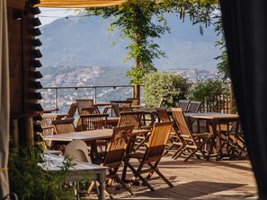 Dinner served, Mediterranean cuisine - Vigna Maggiore (Olmeto)