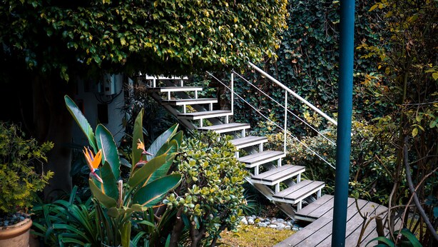 Jardin